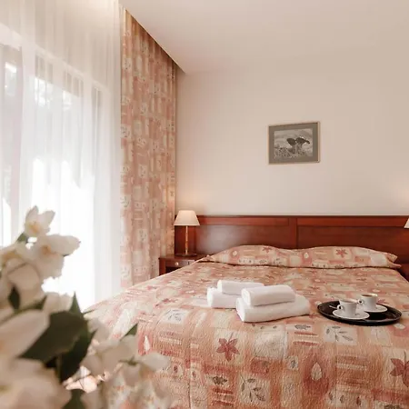 Regina Otel 3*