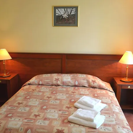 Viešbutis Regina 3*